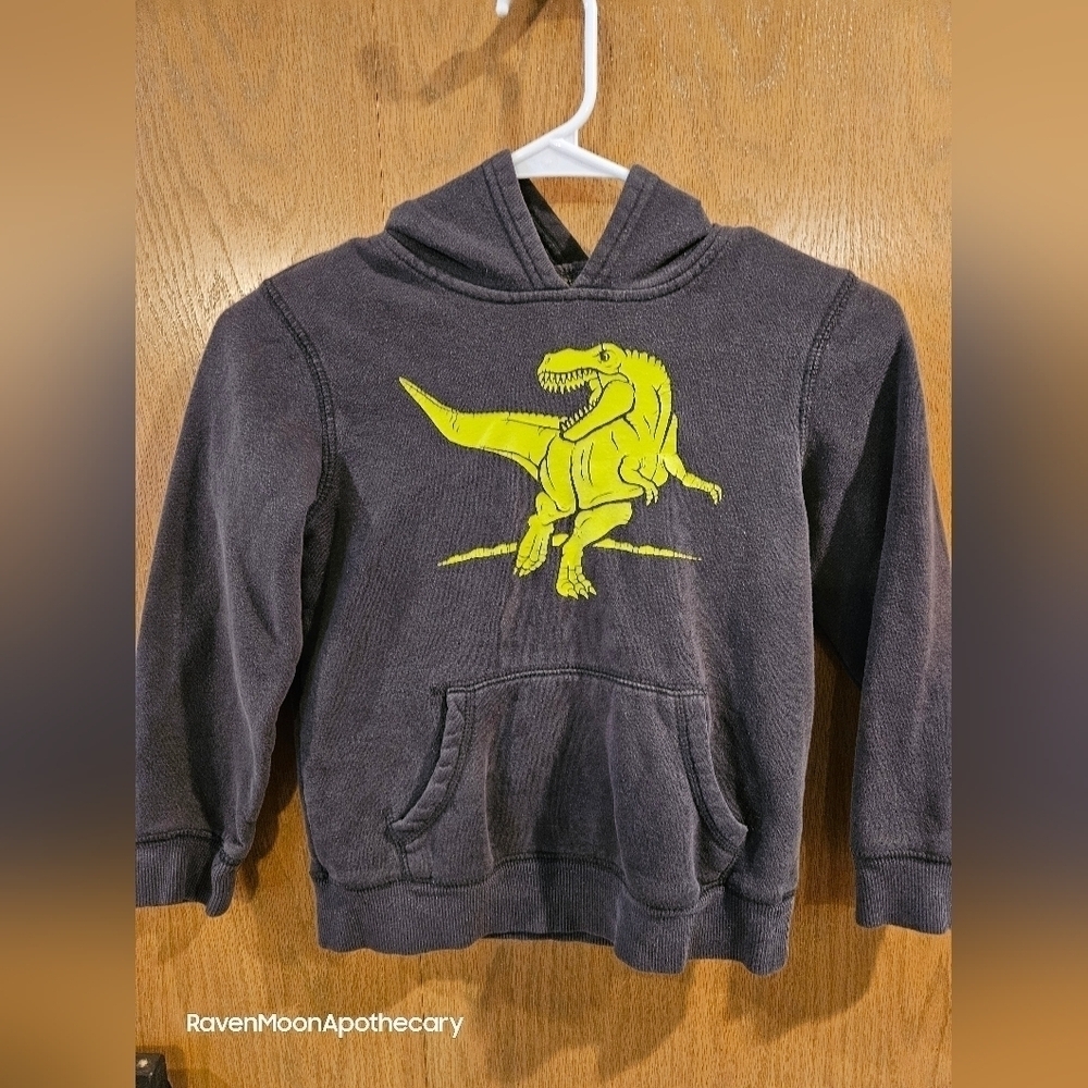 Large Boys Dinosaur Hoodie